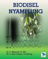 Image of Biodiesel Nyamplung