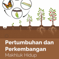 Pertumbuhan dan Perkembangan Makhluk Hidup